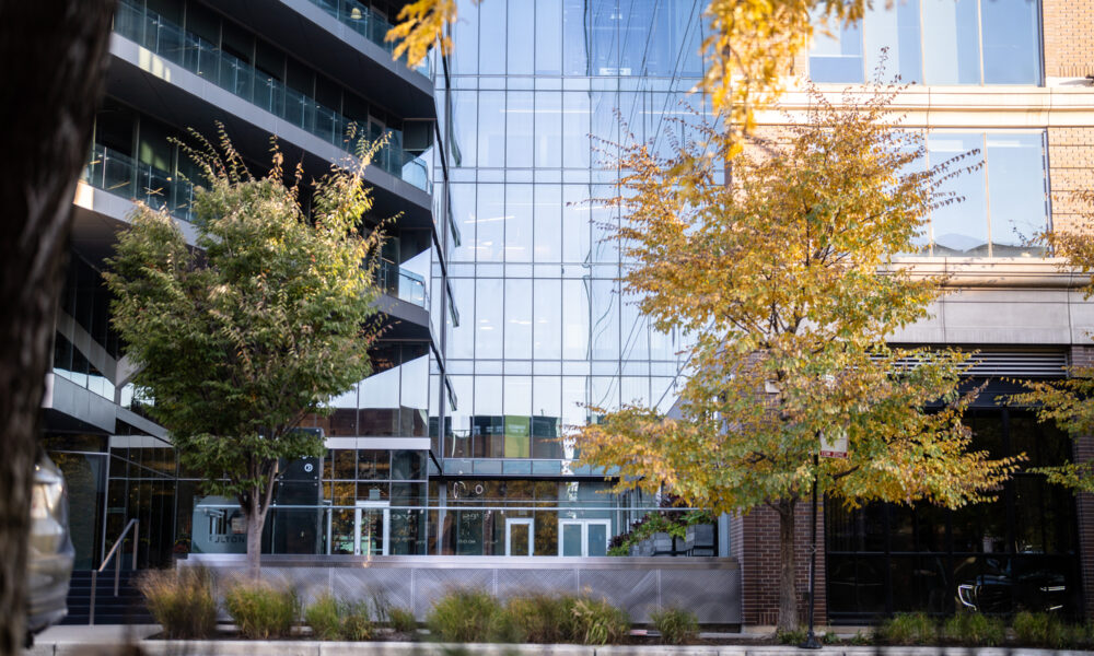 SpaceCo, google headquarters, horizontal, behind green and yellow tree, google headquarters