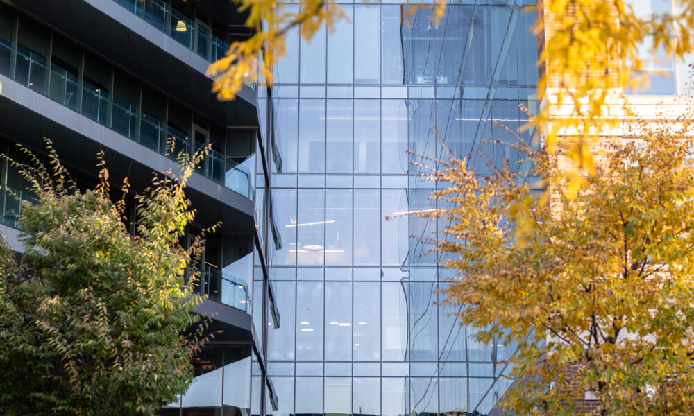 SpaceCo, google headquarters glass wall building behind yellow tree branch, google headquarters